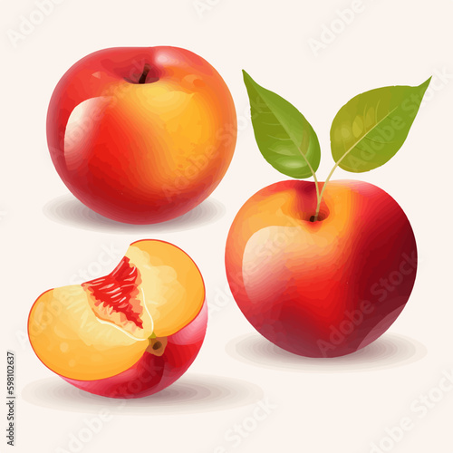 Set of hand-drawn nectarine illustrations with leaves and stems