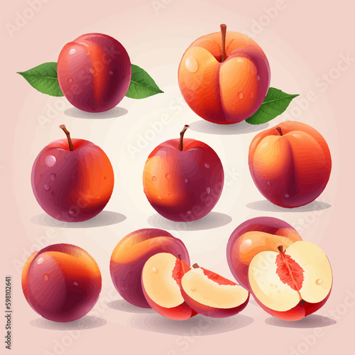 Vector illustration of a fresh nectarine fruit
