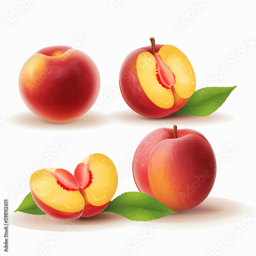 Vector illustration of a sliced nectarine with seeds
