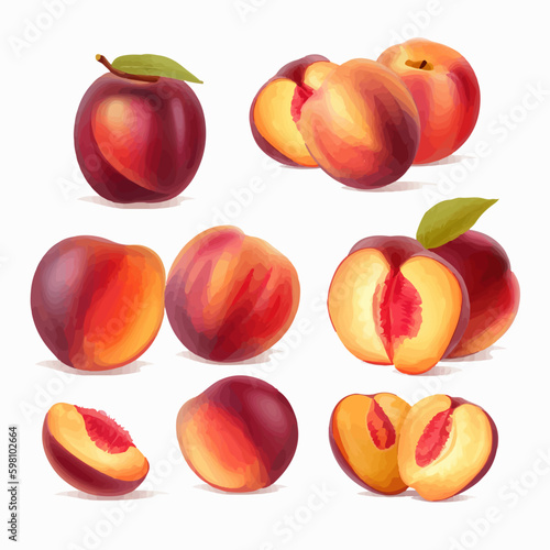 Vector illustration of a whole nectarine with a stem