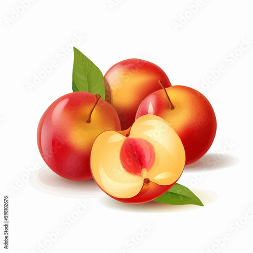Collection of vector nectarine illustrations with a summer theme