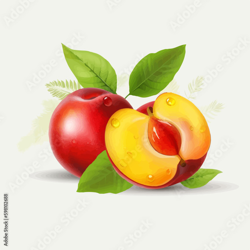 Vector illustration of a nectarine fruit with a circular background