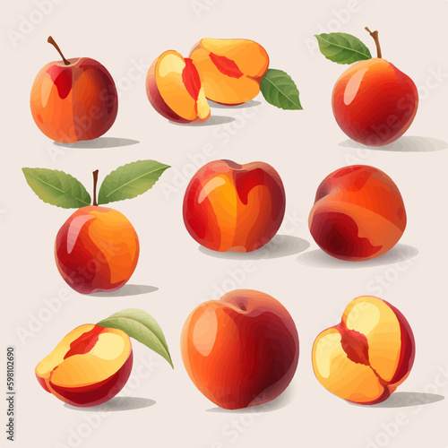 Vector illustration of a sliced nectarine with a white background