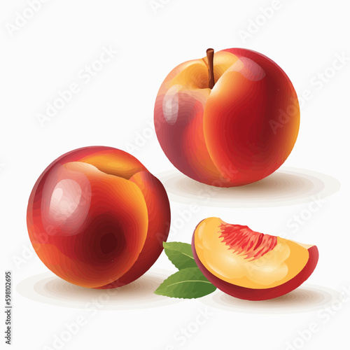 Set of nectarine fruit illustrations in different shades and colors
