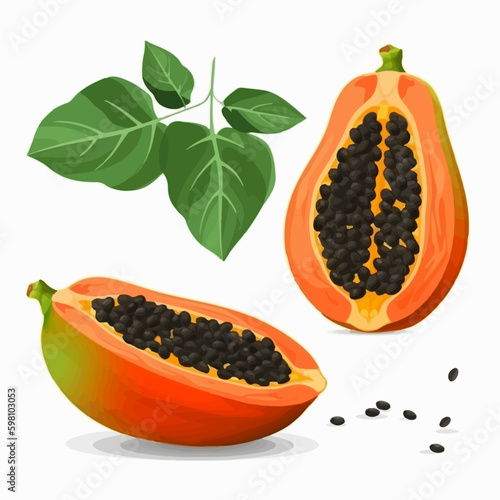 Vector graphic of a papaya fruit with leaves and stem on a bright background
