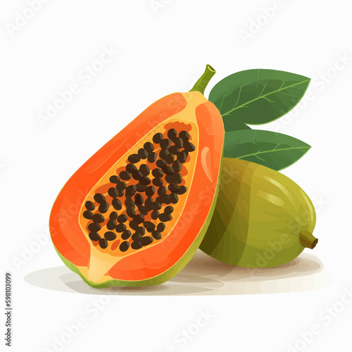 Vector illustration of a papaya fruit with a hibiscus flower and leaves on a white background