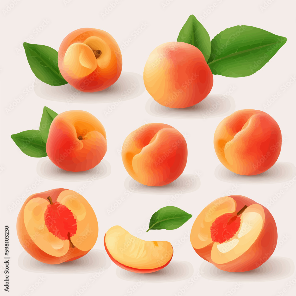 Decorate your website with these elegant peach vector illustrations.