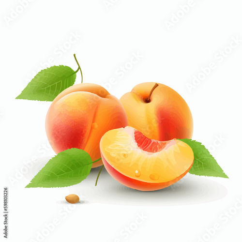 Enhance your packaging designs with this versatile pack of peach vector graphics.