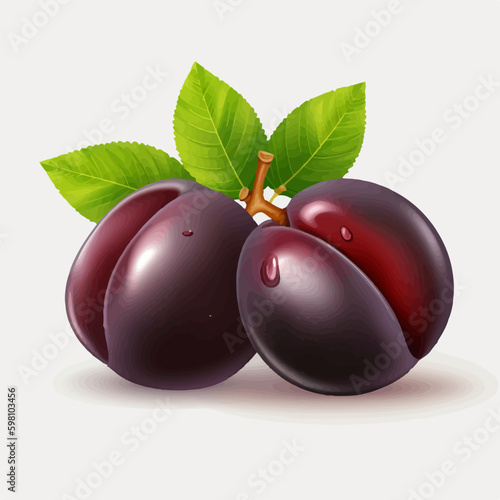 Vector illustrations of plum that will add a fresh and vibrant look to your designs.