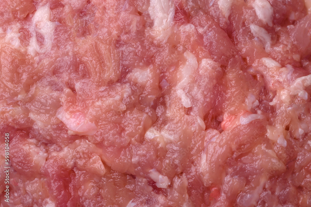 Raw minced beef, pork or chicken meat with salt, spices and herbs Raw minced beef, pork or chicken meat with salt, spices and herbs