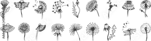 Hand drawn dandelions vintage doodle graphic elements. Isolated dandelion, abstract summer blooming flowers. Fluff floral neoteric vector set