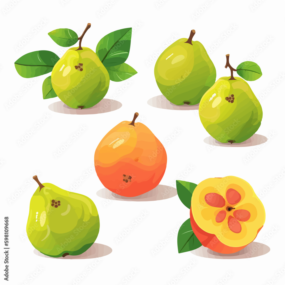 Bring the aroma of quince to your designs with these vector illustrations. Bring the aroma of quince to your designs with these vector illustrations.