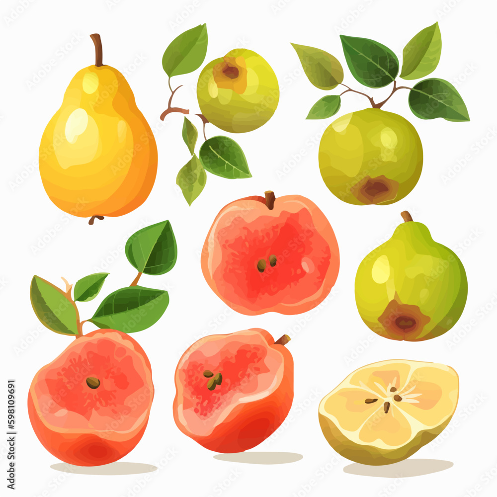 Illustrate your packaging designs with these vibrant quince vector graphics. Illustrate your packaging designs with these vibrant quince vector graphics.