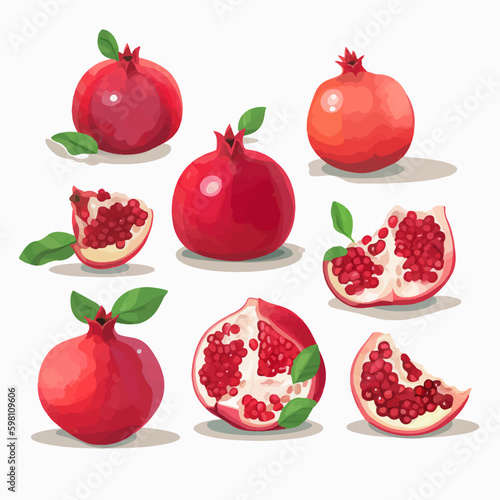 Illustrate your Mediterranean-themed projects with these pomegranate vector graphics.