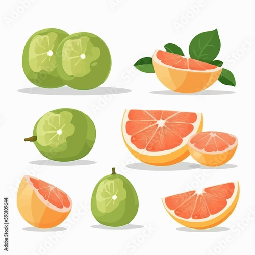 Add a tropical twist to your designs with these pomelo vector graphics.
