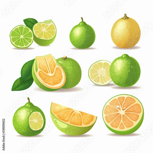 Set of vector images featuring whole and sliced pomelos.