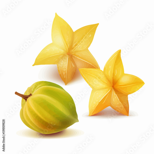 Collection of vector images featuring sliced star-fruit for your creative projects.