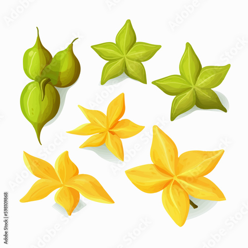 Add a tropical element to your designs with these star-fruit vector graphics.