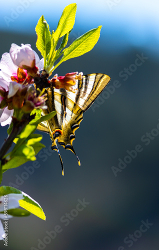 naturaleza,jardines 