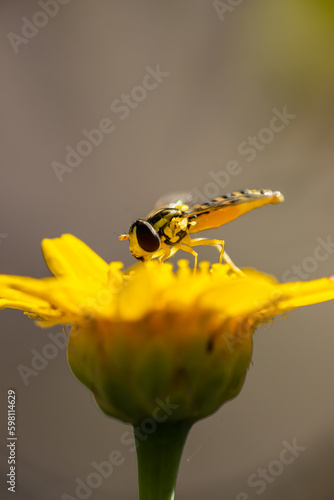 naturaleza,jardines 