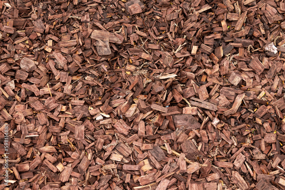 wooden brown sawdust, texture background