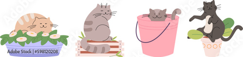 Cute cats in plant pots and bucket. Funny cat hooligan and destroyer. Home animals, pets sleeping in vase and wooden box. Cartoon vector characters