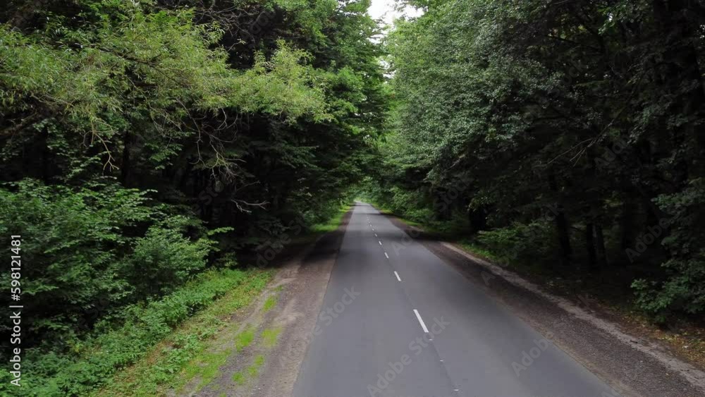 Beautiful road through the forest. Camera movement by the asphalt road between bright green trees on a clear sunny day, shadow from trees on summer day. Freeway through dense forest corridor. Beautiful road through the forest. Camera movement by the asphalt road between bright green trees on a clear sunny day, shadow from trees on summer day. Freeway through dense forest corridor.