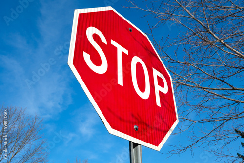 Stop sign from below with blue sky and branches 
