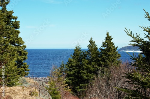 view from the forest to the atlantic