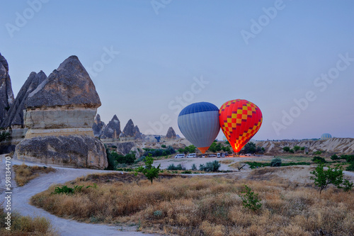 Obraz na płótnie Cappadocia in Turkey with extraordinary hot air balloons in the sky w salonie