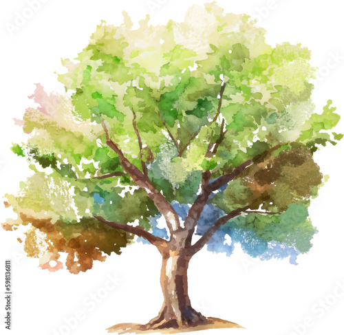 tree watercolor isolated