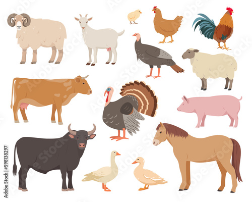 Set of farm animals and birds in different poses. Cow, bull, sheep, pig, horse and goat, hen, rooster, duck, goose, turkey and chickens. Vector flat or cartoon illustration, animal icons.