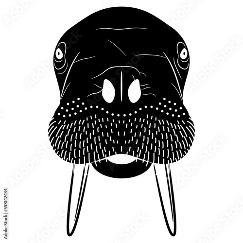 Head of a walrus. Odobenus rosmarus. Animal mask. Black and white silhouette. Cartoon style. 