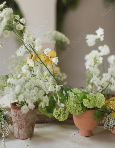 Green and white potted flower arrangement on table