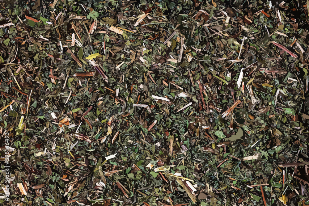 Fototapeta premium Vector illustration of natural melissa mint background. Texture of dry Melissa officinalis L. Top view. Flat layout. 