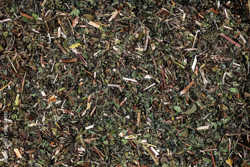 Vector illustration of natural melissa mint background. Texture of dry Melissa officinalis L. Top view. Flat layout.

