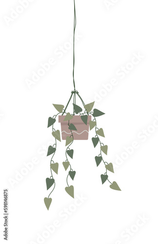Flat vector illustration of ampel plants in pots, potted plant, ampelous plants 