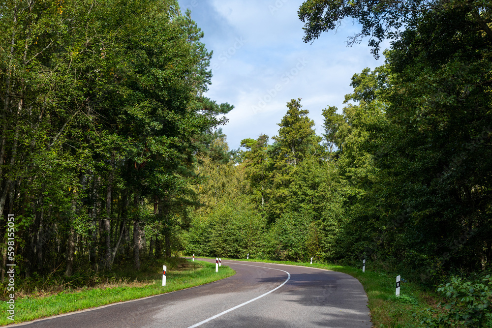 Empty wet two-lane asphalt road in summer green sunny forest after the rain. Left turn on road. White markings on road prohibit overtaking, reflective posts on side of road.
