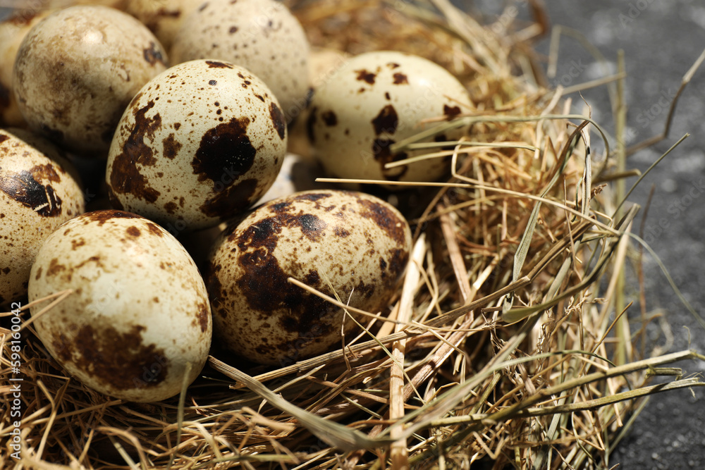 Nest with many speckled quail eggs on table, closeup Nest with many speckled quail eggs on table, closeup