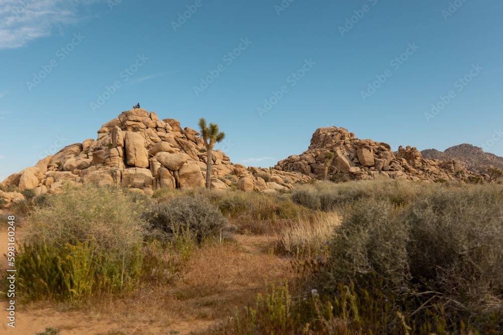 Joshua Tree National Park Joshua Tree National Park