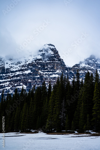 snow covered mountains