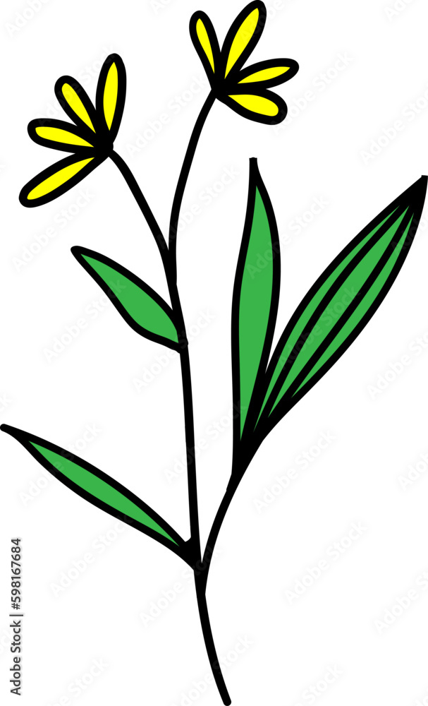 floral draw, illustration, nature, floral, design, flower, leaf, spring, summer