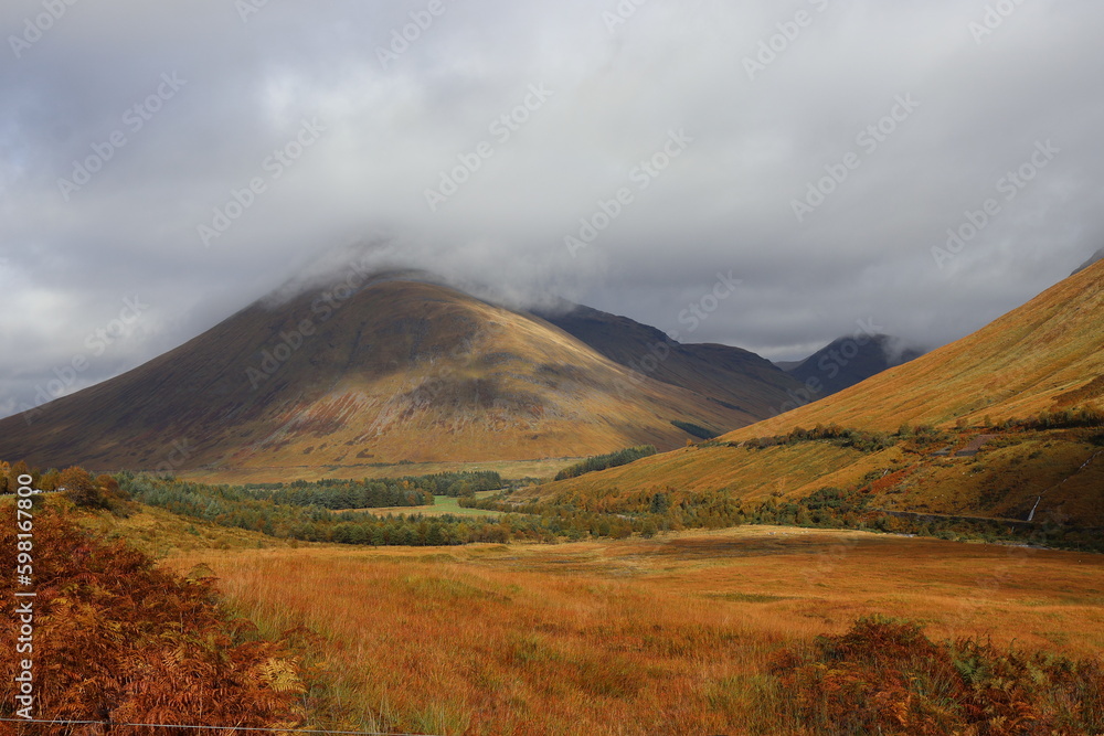 Fototapeta premium landscape in autumn