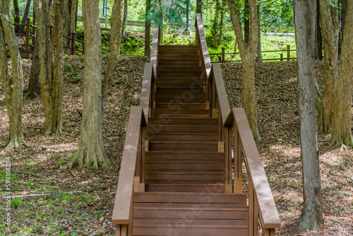 Wooden stairs on hillside in rural park.