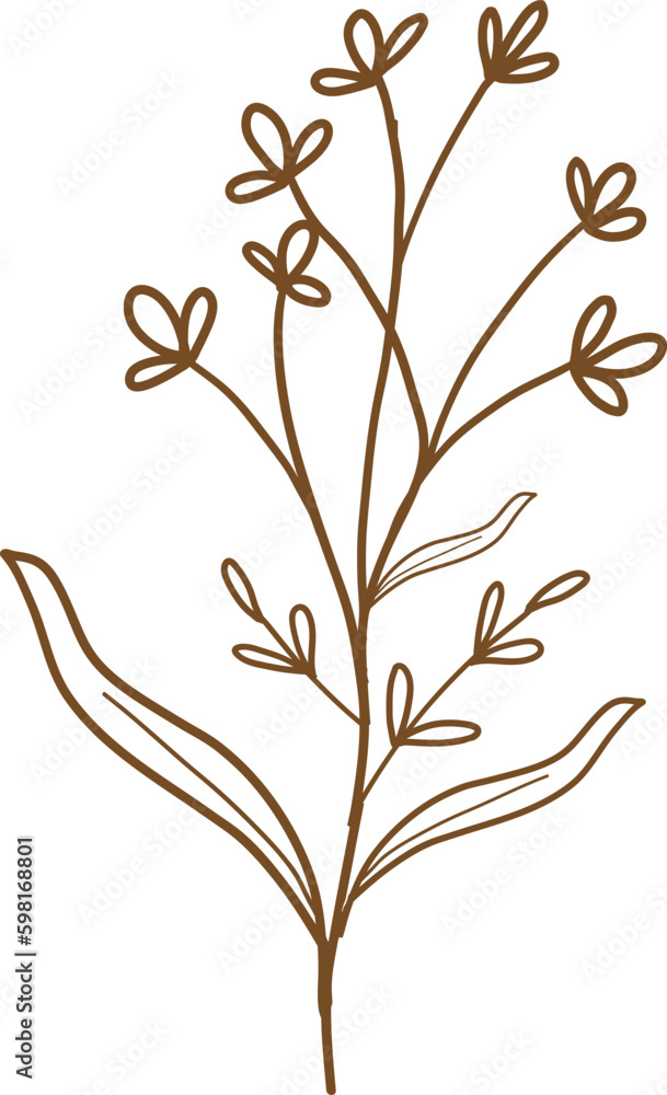 floral outline, illustration, nature, floral, design, flower, leaf, spring, summer floral outline, illustration, nature, floral, design, flower, leaf, spring, summer