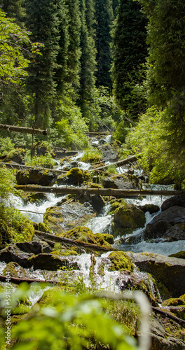 waterfall in the forest