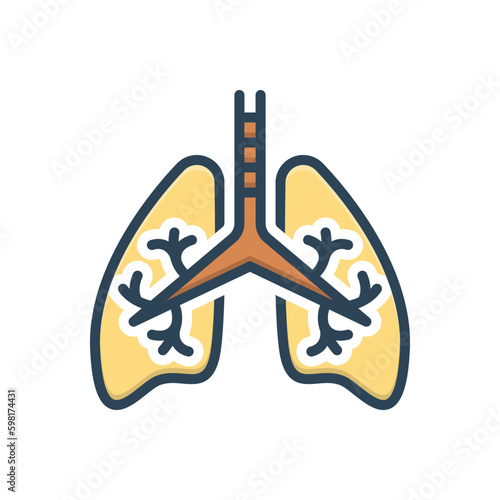 Color illustration icon for respiratory 