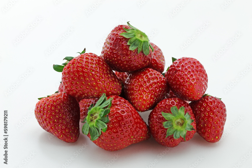 イチゴのとちおとめ イチゴのとちおとめ