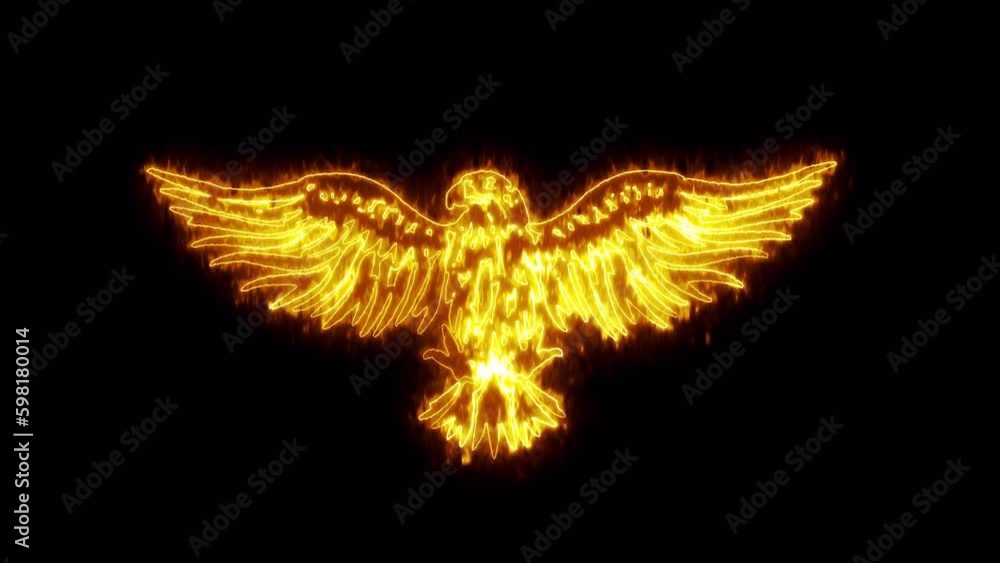Burning Eagle isolated on black background Burning Eagle isolated on black background