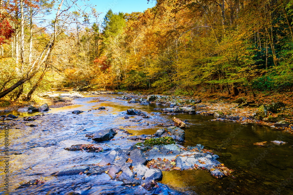 Big Laurel Creek Big Laurel Creek
